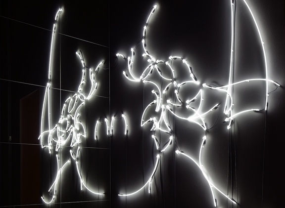 Alfredo Jaar