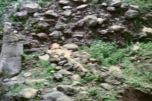 Ana Mendieta