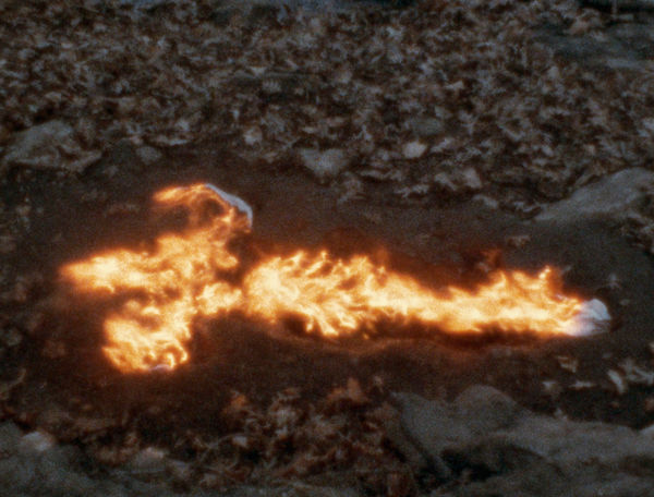 Ana Mendieta