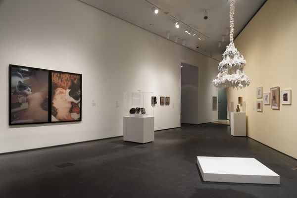 Petah Coyne, Carolee Schneemann