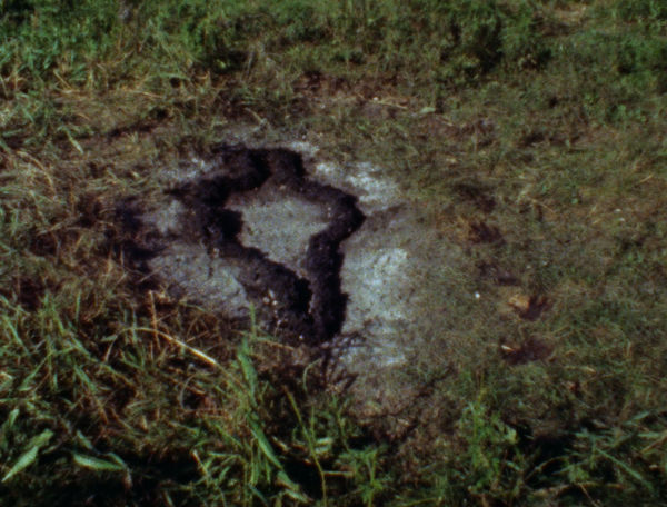 Ana Mendieta