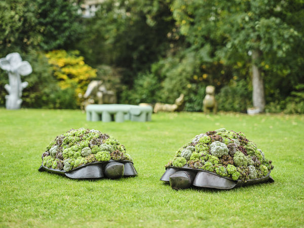 &copy; Studio Shapiro