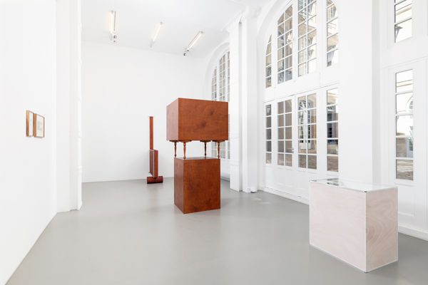 Vaclav Pozarek Non oiseau