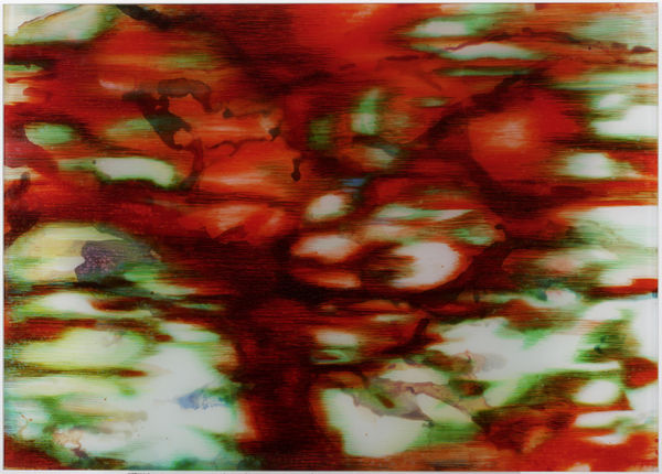 Carole Benzaken, Germe rouge 1, 2018