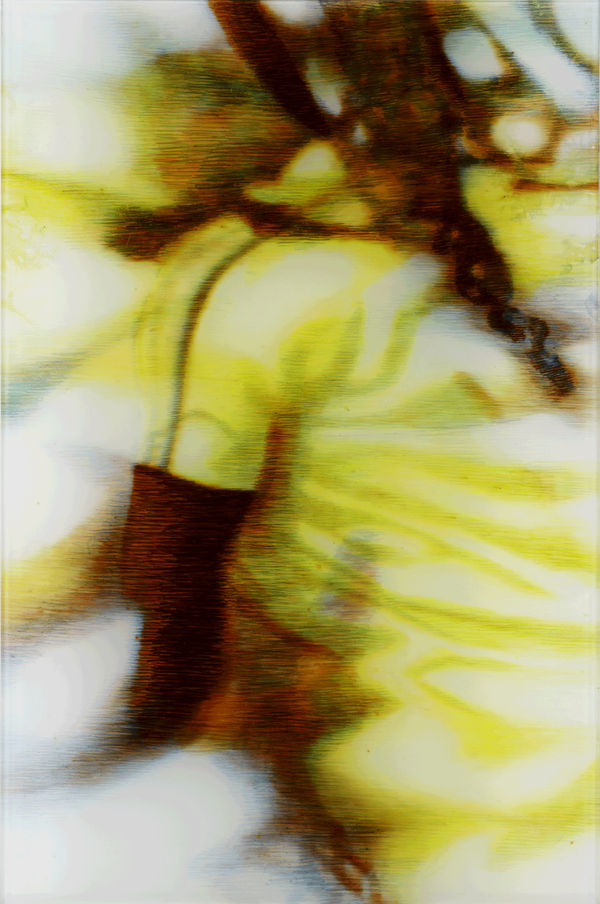 Carole Benzaken, Nord Sud (Suite Africaine) 11, 2017