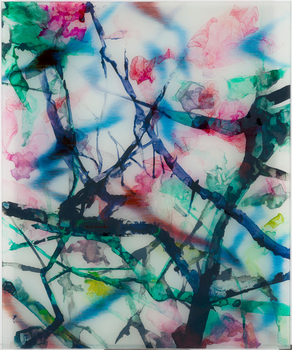 Carole Benzaken, Magnolias (37), 2024