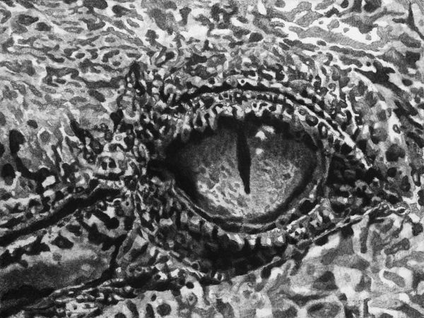 Jérôme Zonder - Jusqu'ici tout va bien, Galerie Nathalie Obadia, Brussels, 2021