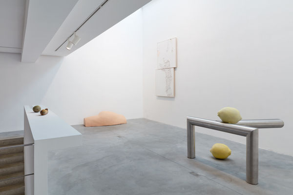 Guillaume Leblon - The Traveler Walking On Tiptoes, Galerie Nathalie Obadia, Paris, 2022