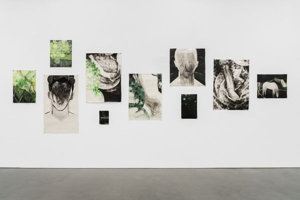 NIGHTSWIMMING, IRIS SCHOMAKER