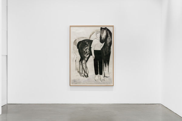 NIGHTSWIMMING, IRIS SCHOMAKER