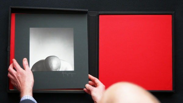 Robert Mapplethorpe, XYZ Portfolios