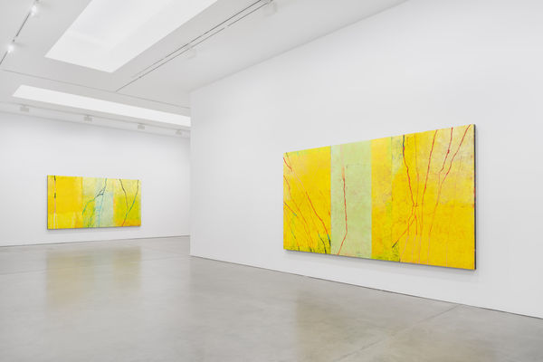 Paco Knöller, Senkrecht durch den Augenblick