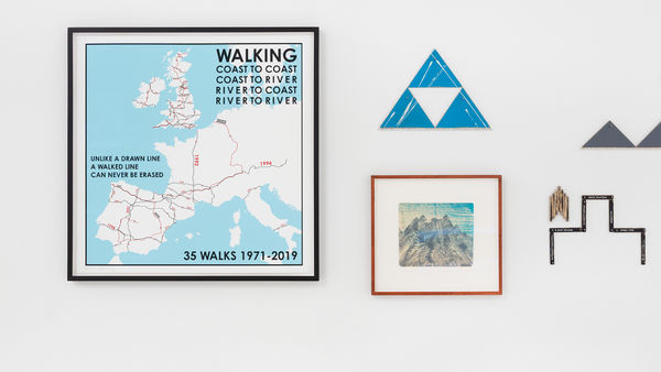 Hamish Fulton, INSIGNIFICANT INSECT ?