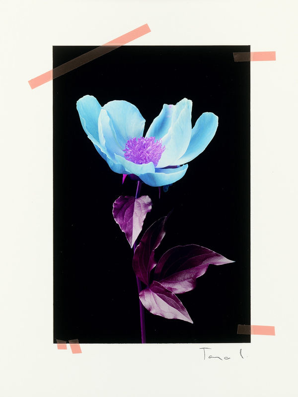 TANJA LAŽETIĆ - ELLE X PARIS PHOTO