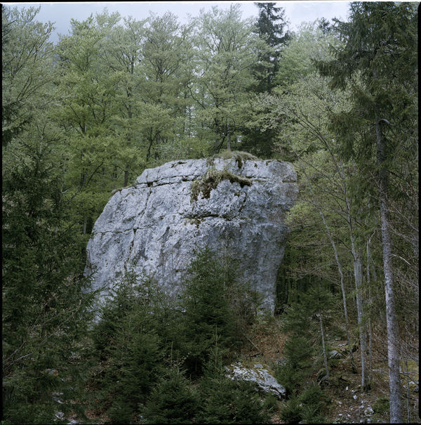 Manca Juvan & Bojan Brecelj