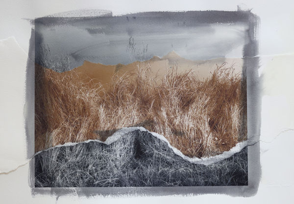 Euro Rotelli Composite Landscapes