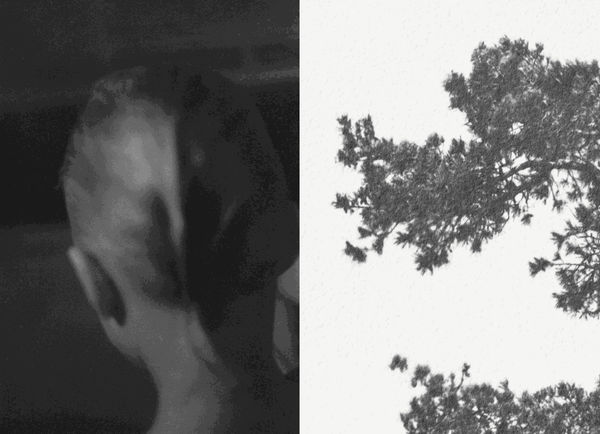 Tereza Kozinc & Hannah Schemel Roots