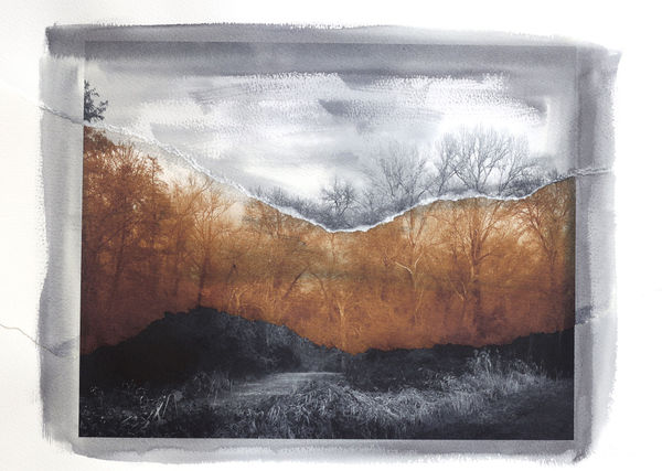 EURO ROTELLI COMPOSITE LANDSCAPES