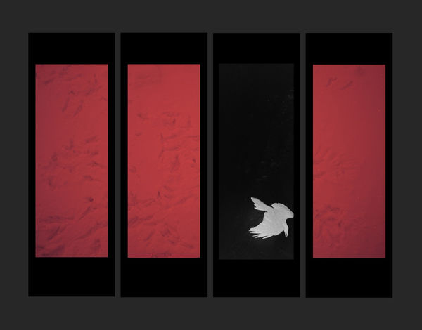 Galerija Fotografija at Photo Basel 2024