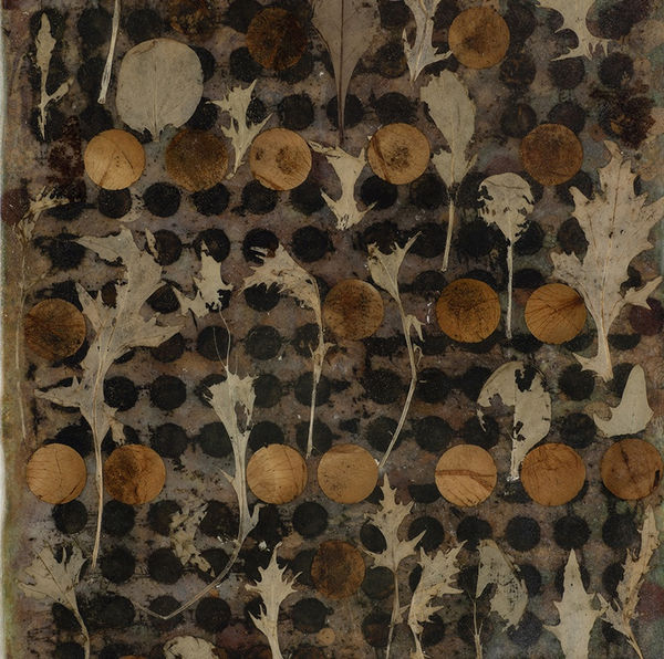 TAYFUN ERDOĞMUŞ - Natura XVI, 2014