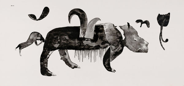 SEVİNÇ ALTAN, Midzone - Shadow Series , 2011