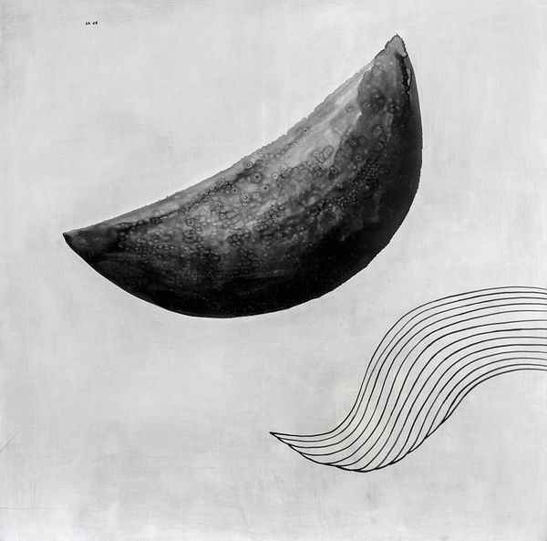 SEVİNÇ ALTAN, Fall Series, 2008