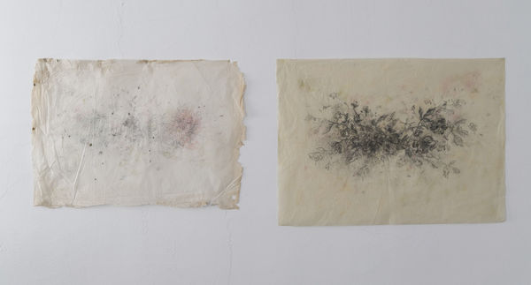 SEVİNÇ ALTAN, Ghost, Exceptional Beauties Series, 2022