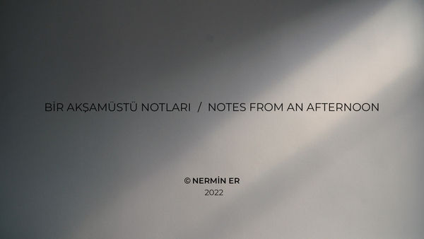 NERMİN ER, Bir Akşamüstü Notları, 2022