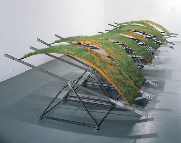 CANAN TOLON, Under Pressure, 1994