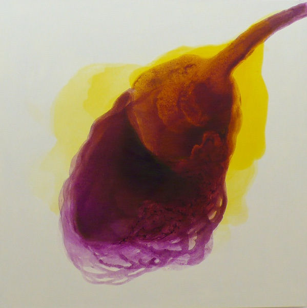 MELEK MAZICI, The Song of Light, 2010