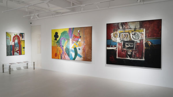 Install Shots Alan Davie 02