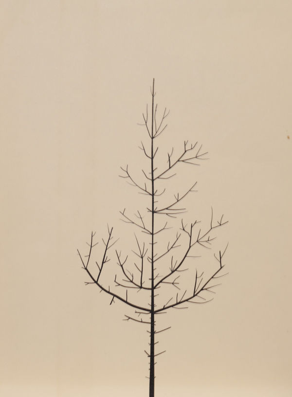 Peter Liversidge, Winter Drawing 28 vs 31 (single), 2024 Cut Tape on Found End Paper, Pencil on Reverse