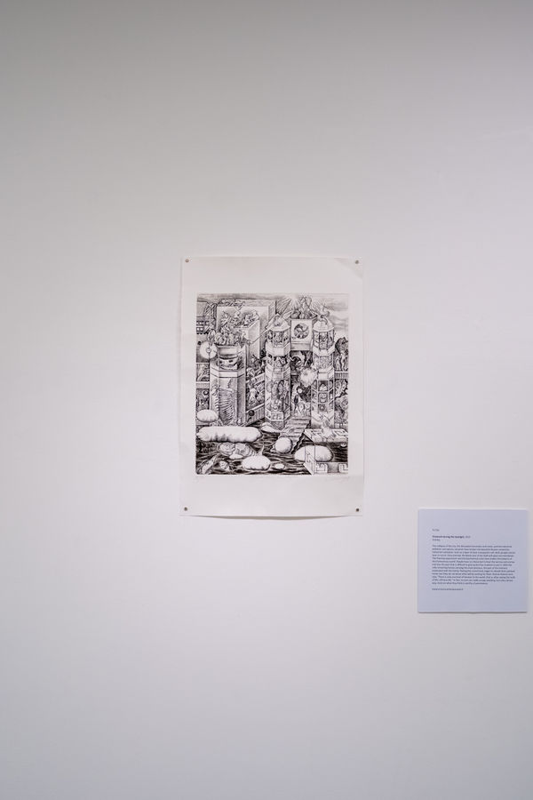 Yu Cai 'Firework during the daylight'