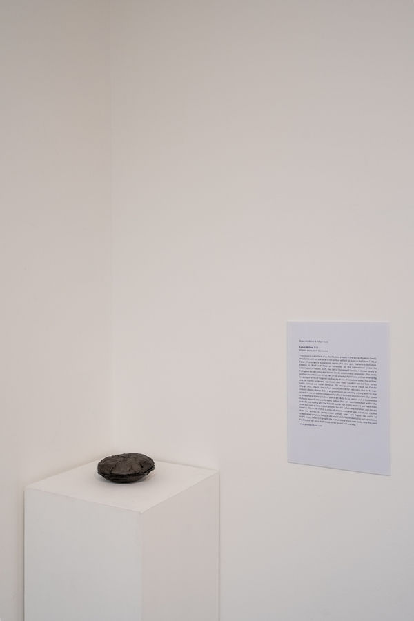 Grace Grothus & Felipe Rossi Future Within