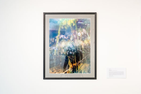 Chris Avis 'Poisoned Series'