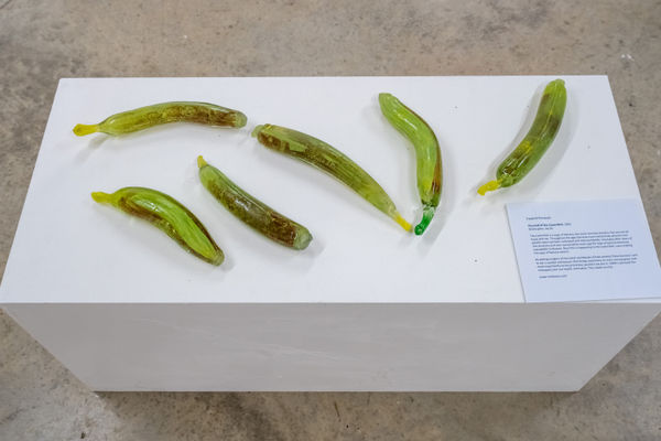 Frederik Rombach 'The Cantanoids'