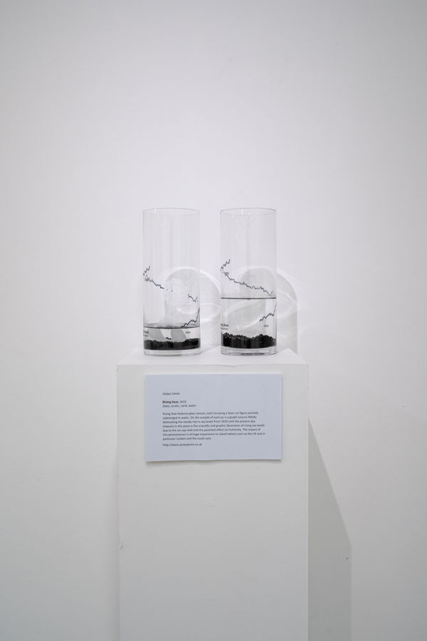 Jacqui Jones 'Rising Seas'