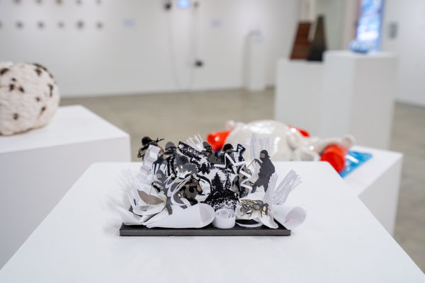 Fiona Liberatore 'Martians will never visit us... I hope the bees keep flying'