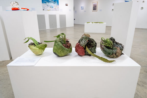 Emma Jane Whitton 'Swamp 1-4'