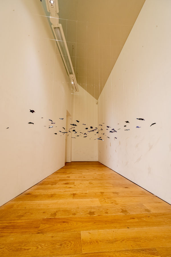 Chloe Cox 'Single Use Ocean'