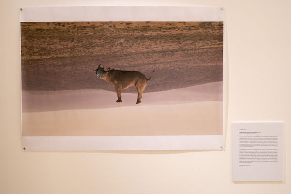 Gregor Vogel, 'Slowing down the End of the World'