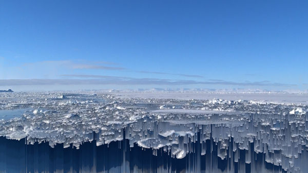 Susanne Layla Petersen 'The End of the World as we know it'