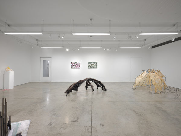 Installation shots of NOW 2023 Photos: Reinis Lismanis