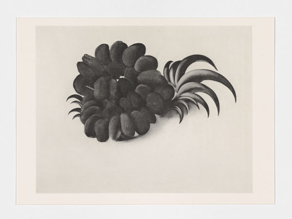 Georgia O’Keeffe: Memories of Drawings