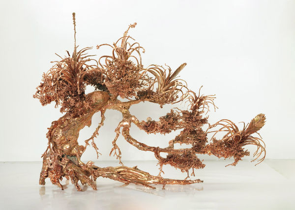 Max Hooper Schneider, Dendrite Bonsai (Flowering Air Plants), 2023