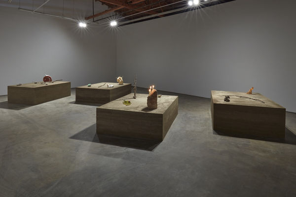 Kelly Akashi Faultline