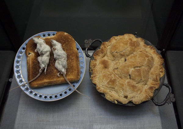 Max Hooper Schneider on the Museum that Exhibits Its Messes