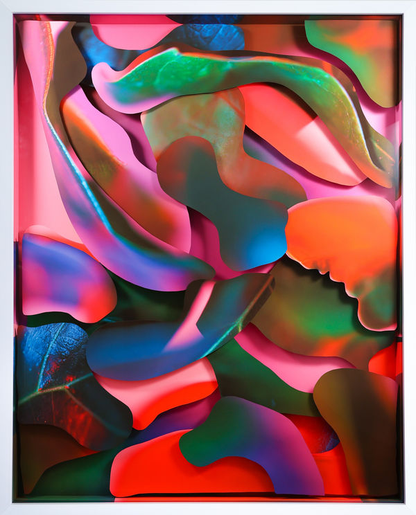 A Curated Experience Featuring Jessamyn Box, Susana Espinoza & Maria Munar New Works and Reception