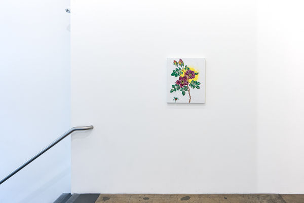 Paterson 2019 The Intimates Installation 6 Tobias Kraus Web