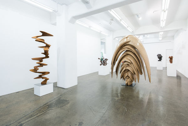 11052018 Glg Tonycragg 0158 Ed